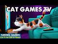 Cat Games TV: STIMULATING 3D Games for Cats to Keep Cats Entertained – Cat TV for Cats Home Alone