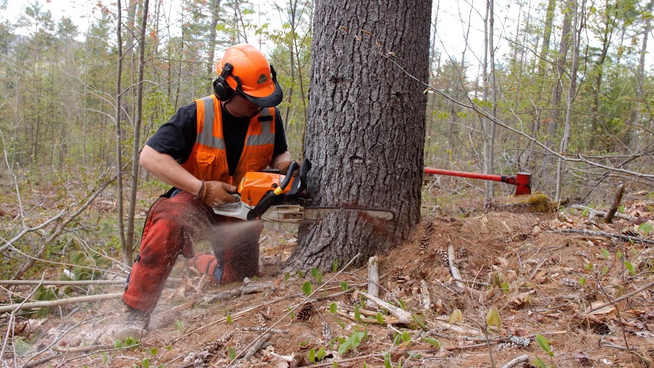 Meet Colton - Forestry and Fire Science | Maine CTE