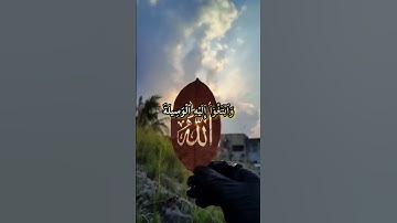 سورة المائدة-القران الكريم