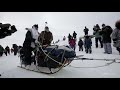 Fly down the Iditarod trail