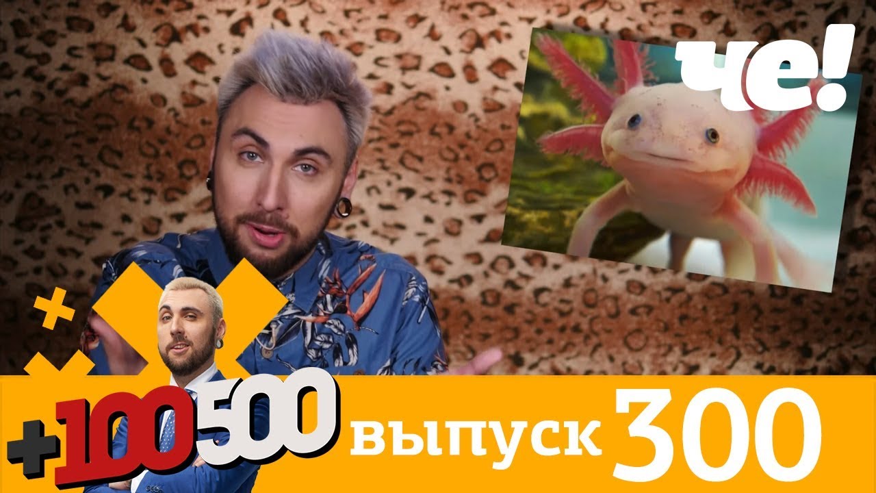 Ералаш 340 выпуск. Перец телеканал 100500. Ералаш 300. 300 выпуск. 300 выпуск.