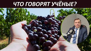 Виноделие Крыма: итоги за 10 лет // Что говорят учёные?