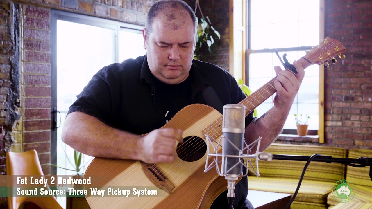 Cole Clark: FL2EC Redwood Sound Demo