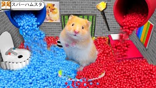 ハムスターが実生活でペットのための創造的な迷路を脱出します🐹ハムスターストーリーで🐹【スーパーハムスター】