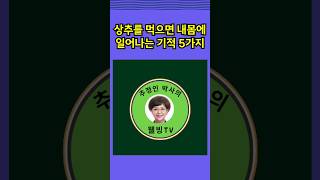 🎈상추를 먹으면 내 몸에 일어나는 기적 5가지🎈 #뇌교육박사_추정인 #shorts