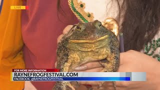 Rayne Frog Festival Passe Partout pt. 4