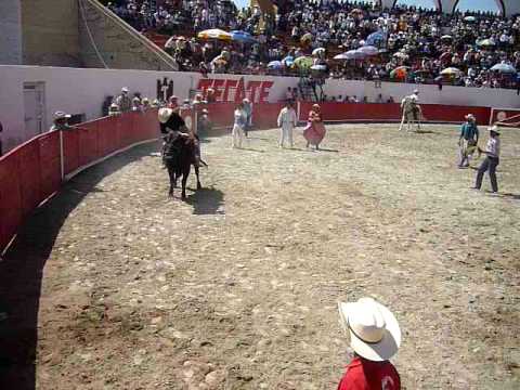 Ganaderia huracanes del sur toro el balinen ameca,...