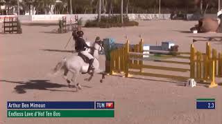 Endless Love Dhof Ten Bos - Met Oliva 1.30M