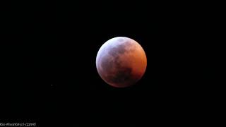 Lunar Eclipse Night Lapse. [1-20-2019]-(Dallas Texas Area)-[Nikon CoolPix-B500]-(12-BitC,Ultra-HD)