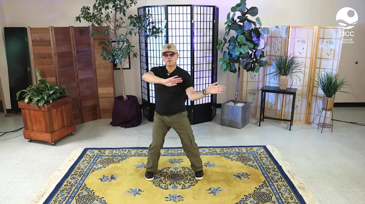 Tai Chi for those with Limited Mobility with Rober...