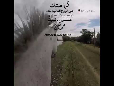 حالات واتس اب جديده كرامتك هي الروح الثانية لك حالات انستقرام