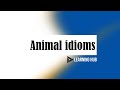 Animal idioms | Use of Animal idioms in English | Top 10 English Animal idioms by learninghub |✨️