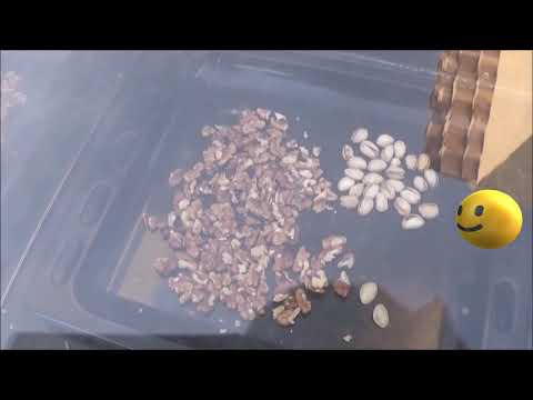 Como Quitarle Lo Rancio Al Coco