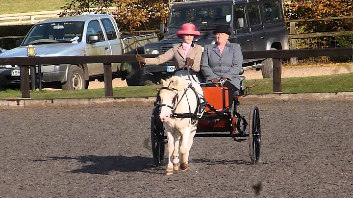 Jenny driving Mork at Addington 2014