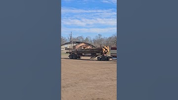 Peterbilt #trending #logger #shortpants #logging #tree #logginglife #shortshorts #excavator #shorts