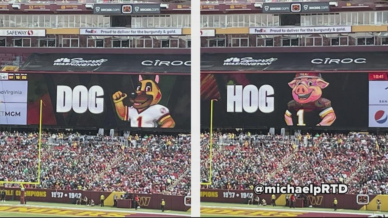 Washington Commanders unveil new hog mascot