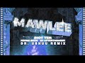 Riot Ten - Mawlee (feat. Young Buck & DJ Afterthought) [Dr. Ushuu Remix]