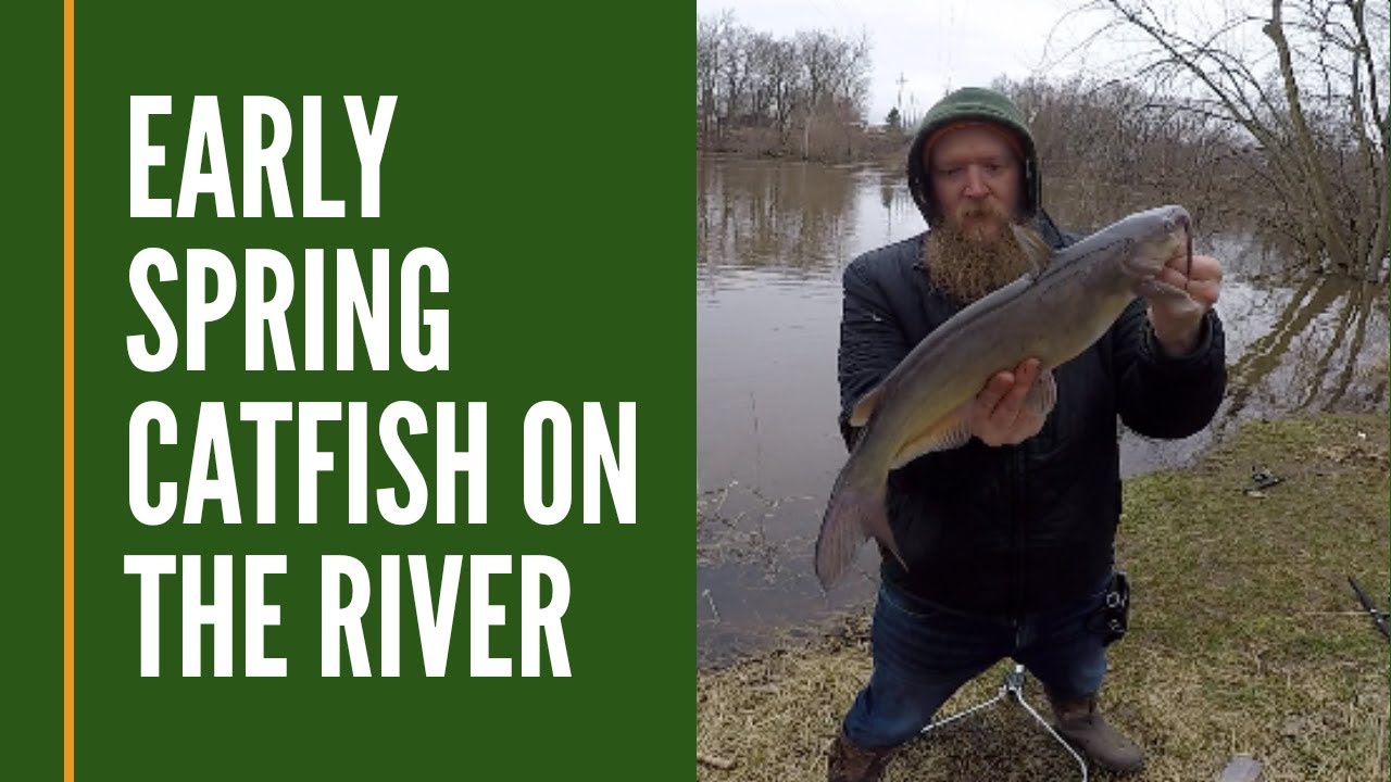 Early Season Catfish With Spinner Rigs