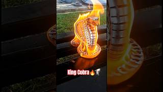 Plaese Subscribe.. Bbq Cobra On