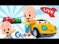 🔴DIRECTO🔴 Aprende  colores,  números y formas con Cuquín | Videos educativos