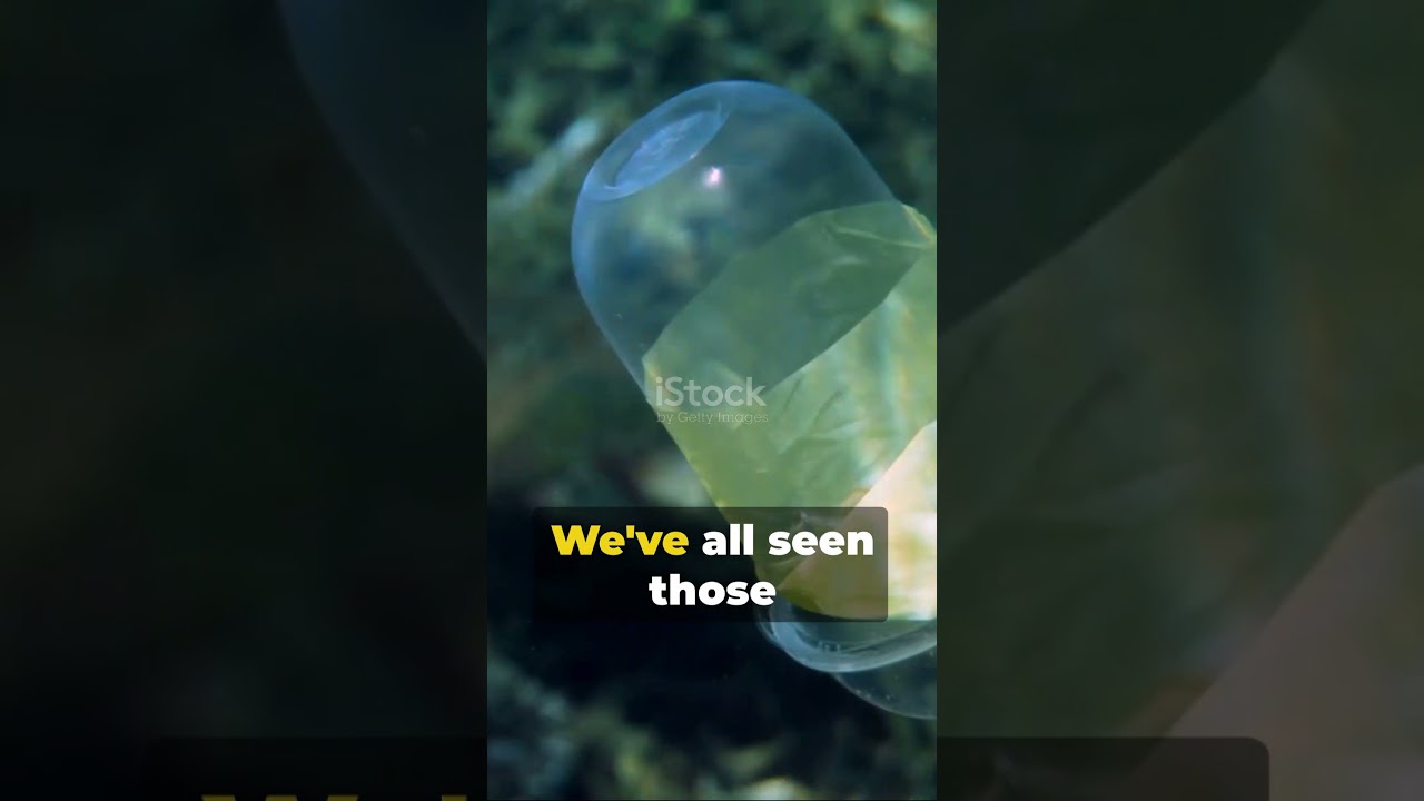 Plastic Bottles  The Unseen Impact In The 