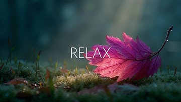 Thumbnail of Morning Serenade ~ Guitar Piano for Peaceful Reflection & Calm Study Music