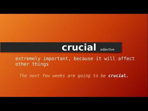 crucial definition in speech