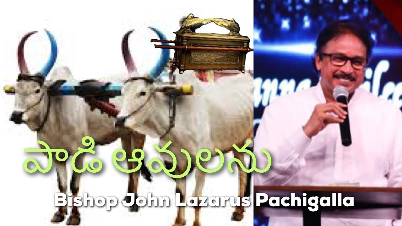 Bishop John Lazarus Pachigalla || పాడి ఆవులను || New Cart and Two Milk Cows