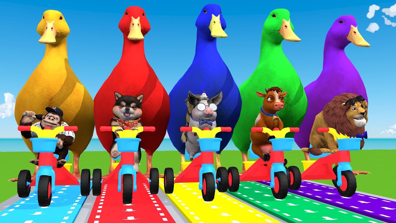 5 Giant Duck Cartoon,Cow,Elephant,Lion,Tiger,Pig Paint Wild Animals Crossing Fountain Animation
