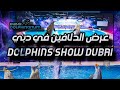 عرض دلافين في دولفيناريوم في دبي The Most Beautiful Dolphin Show In Dubai 