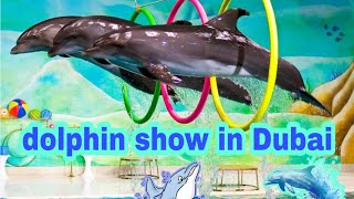 عرض دلافين عالمي بـ دولفيناريوم في دبي     the   most beautiful dolphin show in #Dubai 🐬🐬🐬