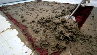 From Mud-Covered Disaster to Luxury Red Rug - Carpet Cleaning Transformation Satisfying s