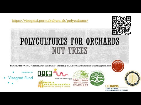 Video: Yellowhorn Tree Information - Lær om Yellowhorn Tree Nuts