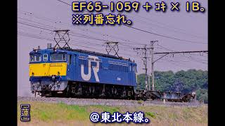 映像激劣化! EF65 1059+コキ×1B @東北本線。