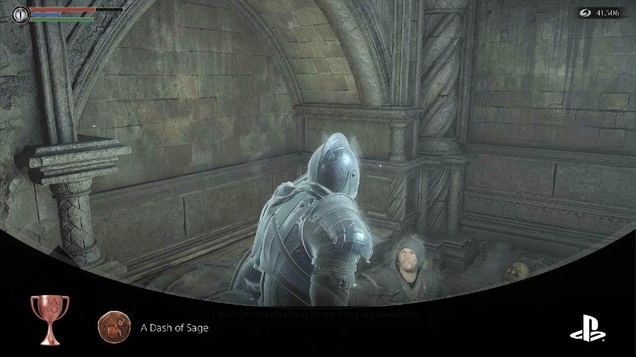 Demon's Souls A Dash of Sage Trophy