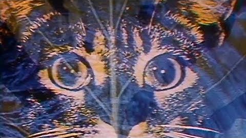 CBHT - Science Magazine Intro 1979 (David Suzuki)