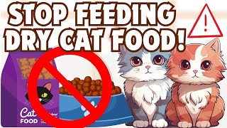 Stop Feeding Dry Cat Food! Unlocking the Truth About Cat Food Along with Veterinary Expert Advice