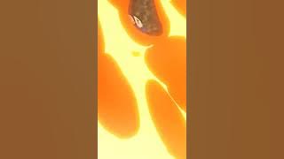 LUKAKU WHATSAPP STATUS 🔴 🔥 🔥 🔥