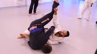 Ramona Brazilian Jiu-Jitsu Mma Center