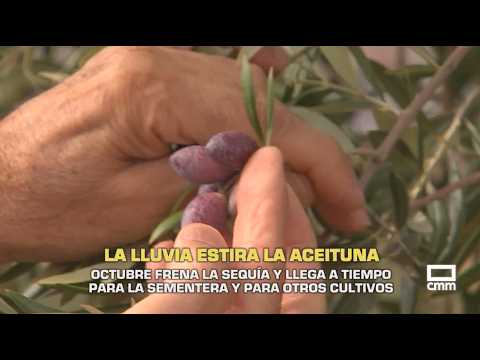 The Field | Rain puts the brakes on the drought and arrives in time for planting | 10/05/26