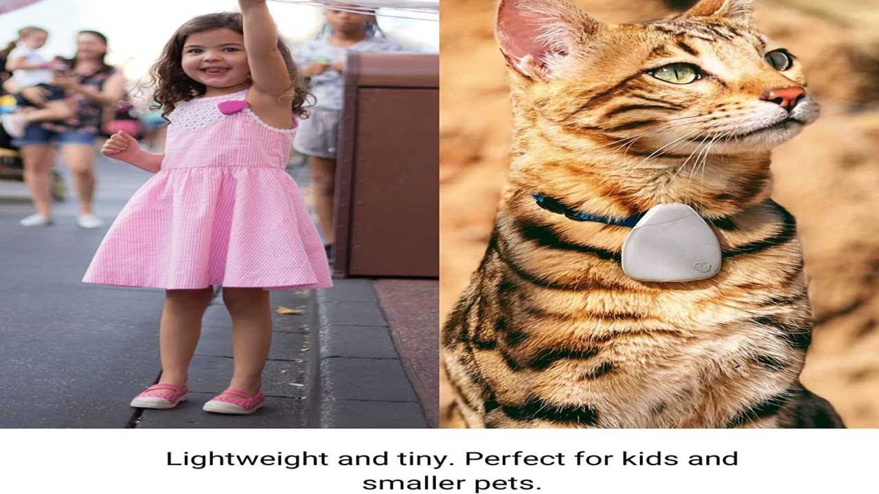 Top 4 best pet tracker 2024 YouTube