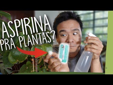 Vídeo: Uso de aspirina em plantas: aspirina em hortas e muito mais