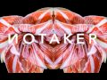 Notaker - Sub Weapon [Progressive]