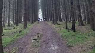 Celebrity Muddy Woody 6 Down Hill in between the Trees  wc Wealth