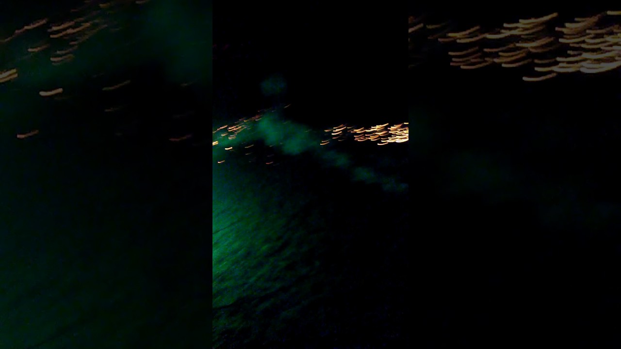 Roman candle fight YouTube