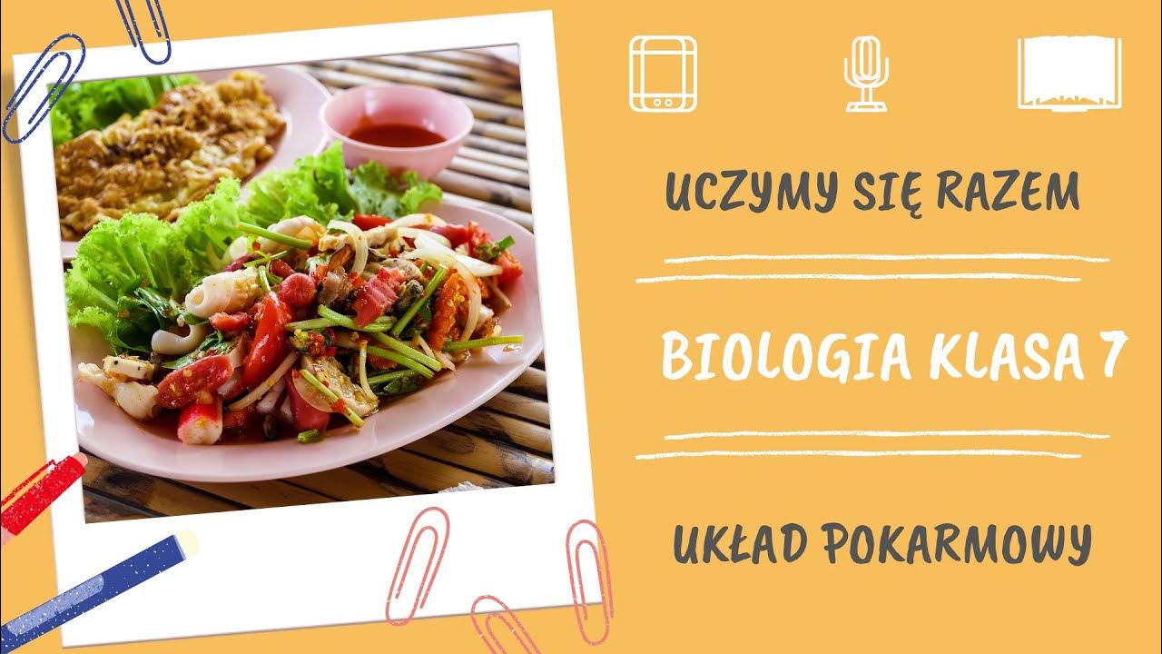 Sprawdzian Biologia Uklad Pokarmowy Klasa 7 Biologia klasa 7. Układ pokarmowy. Uczymy się razem - YouTube
