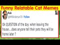 50 Hilarious And Relatable Memes Dedicated To All Things Feline 50 Hilarious And Relatable Memes Dedicated To All Things Feline
