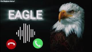 Eagle Ringtone // king Ringtone Download MP3 message Ringtone