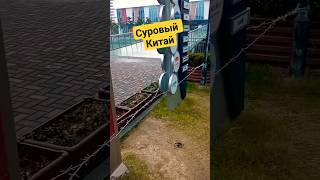 Суровый Китай, забор из колючей проволоки #китай #жизньвкитае #релокация