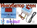 Термолегулятор DM  W3002 тез орада танишамиз